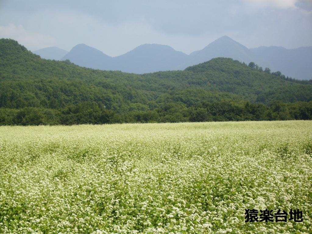 湯野上温泉 源泉かけ流し 渓谷美の宿 ホテル 大坂屋 下郷町 エクステリア 写真