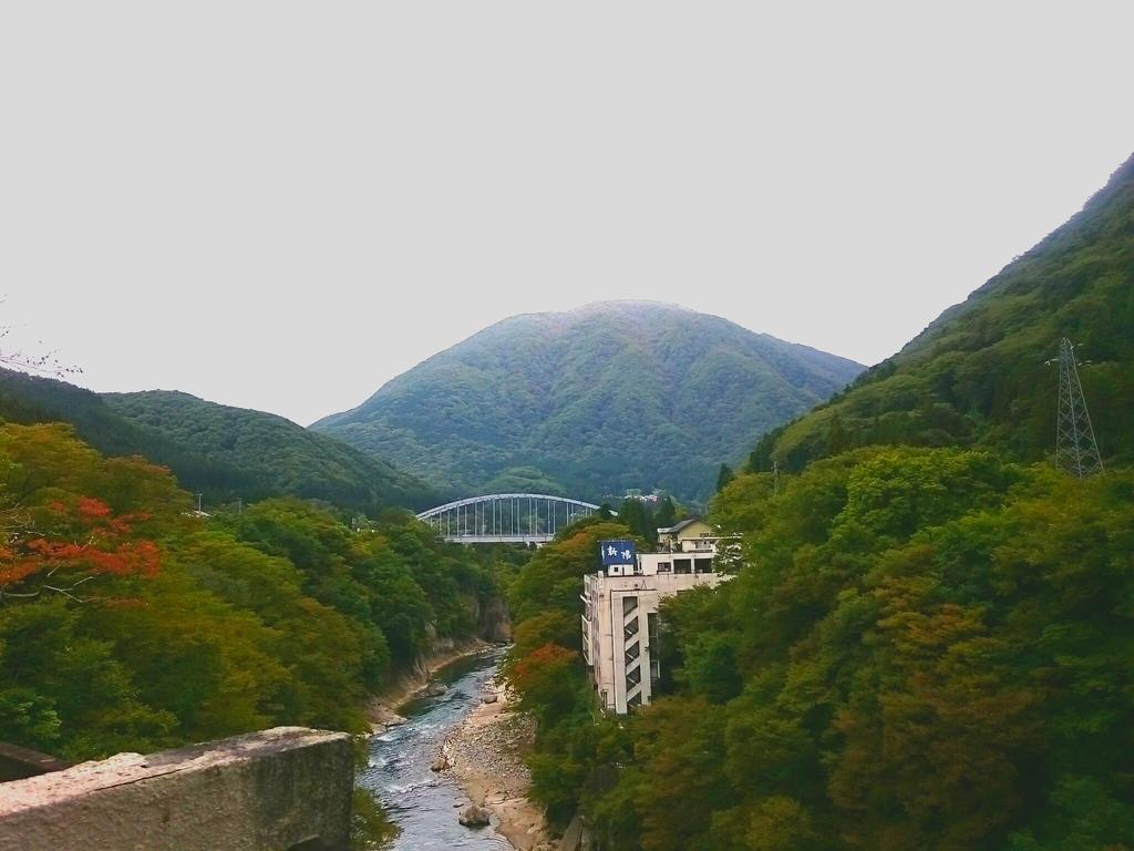 湯野上温泉 源泉かけ流し 渓谷美の宿 ホテル 大坂屋 下郷町 エクステリア 写真