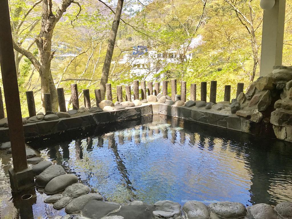 湯野上温泉 源泉かけ流し 渓谷美の宿 ホテル 大坂屋 下郷町 エクステリア 写真