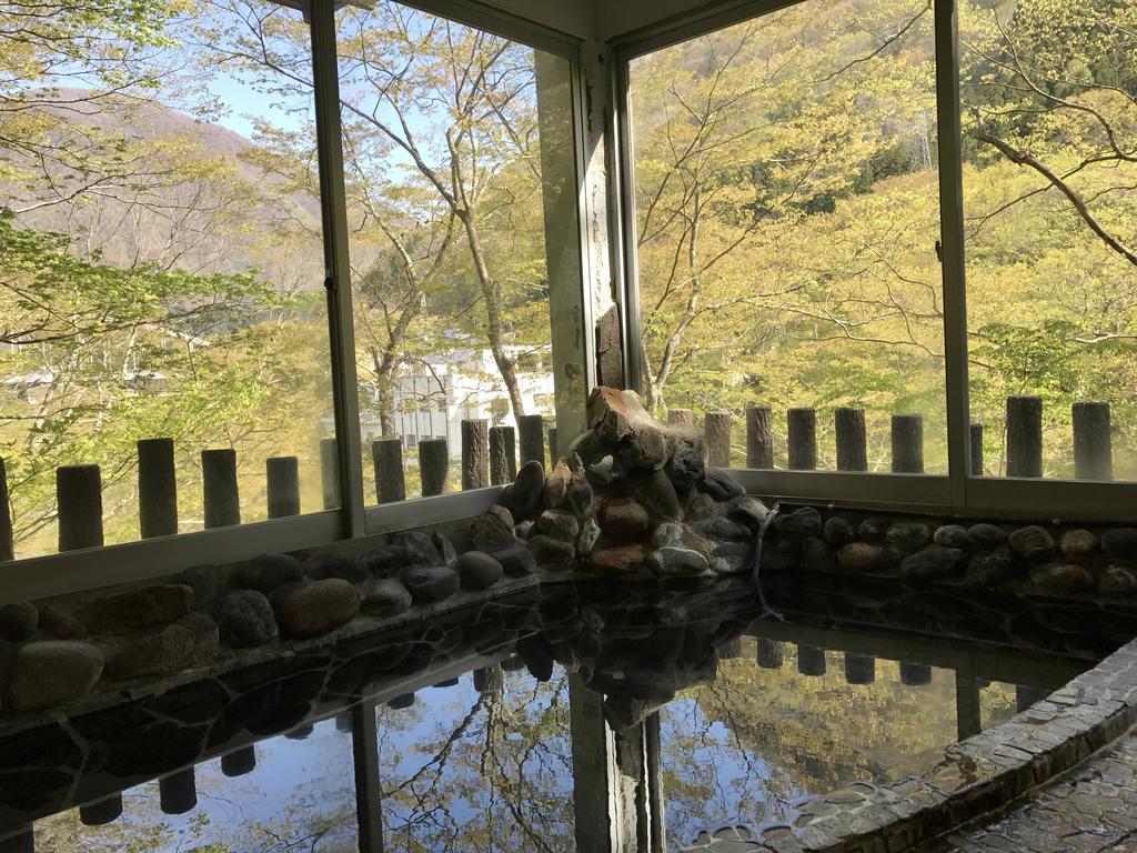 湯野上温泉 源泉かけ流し 渓谷美の宿 ホテル 大坂屋 下郷町 エクステリア 写真